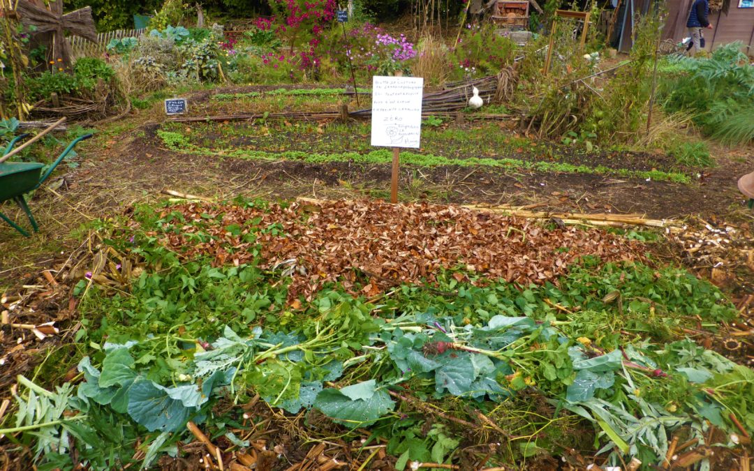 Aux jardins pédagogiques, nos déchets végétaux sont directement recyclés sur place!