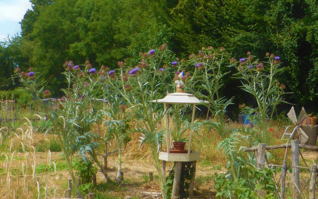 Aux jardins pédagogiques il n’est jamais trop tard pour se cultiver autrement