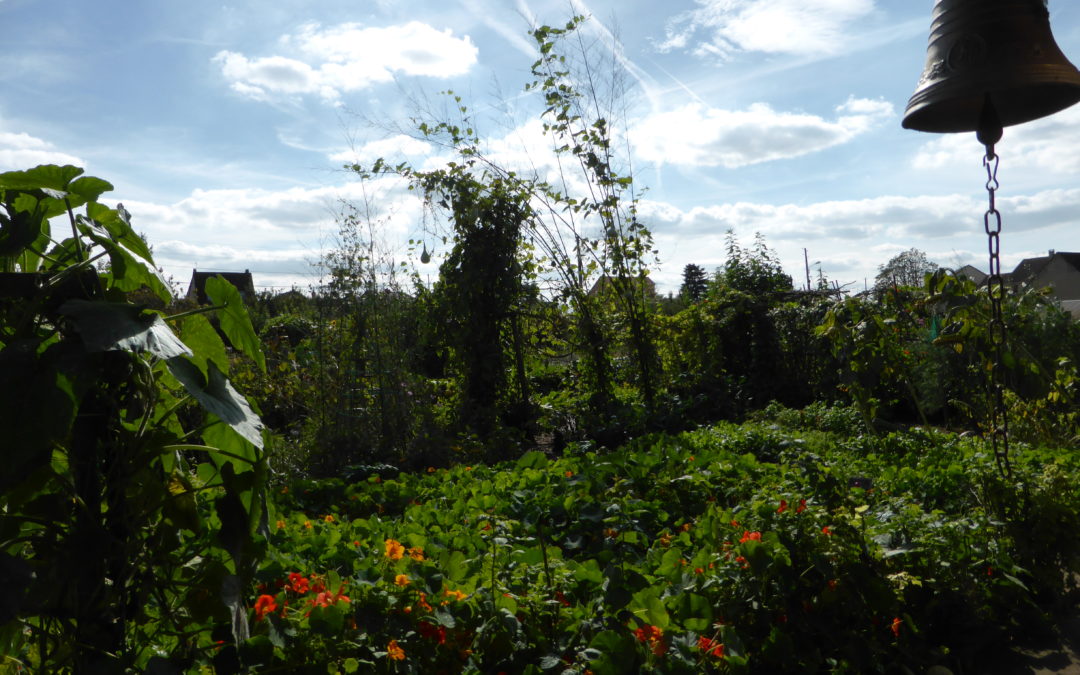 Un jardin foisonnant riche en symboles au doux parfum végétal .